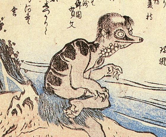 Le poisson — Maki au concombre