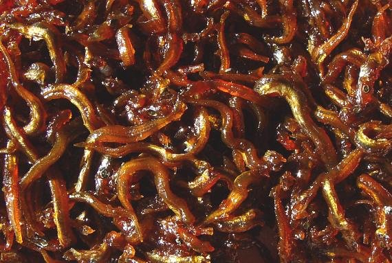 Le poisson — Oboro (condiment de crevette)